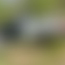 VEÍCULO ABANDONADO É ENCONTRADO PELA GCM EM MAIRIPORÃ HOJE (4)