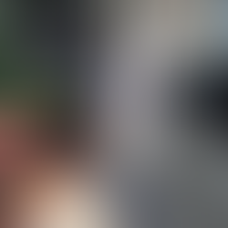 COMERCIANTES DEIXAM CACHORROS DE RUA FUGIREM DO CALOR E GANHAM CORAÇÃO DE MAIRIPORÃ.