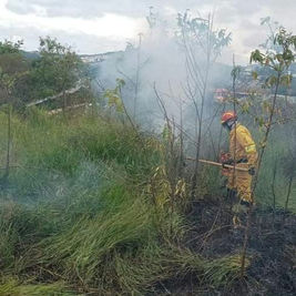 DEFESA CIVIL E BOMBEIROS REALIZARAM COMBATE A INCENDIO EM TERRA PRETA
HOJE (26)