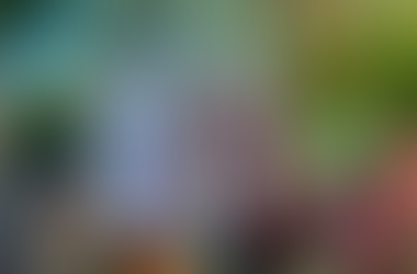 Semana da Proteção Animal promove ações de conscientização e educação ambiental em Mairiporã