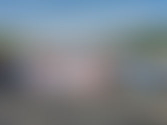 NESTE SÁBADO (23), FOI DECLARADO EM MAIRIPORÃ, O DIA "D" DE COMBATE A DENGUE.