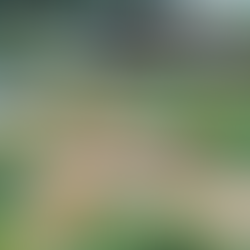 Brasil terá a maior tirolesa do mundo; descubra onde