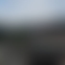 Com mais de 1.700 casos, Prefeitura intensifica ações contra a dengue