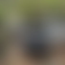 DESMANCHE DE CARROS ROUBADOS É ENCONTRADO EM MAIRIPORÃ (08)