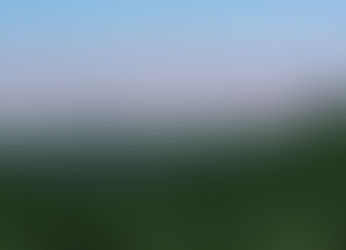 MAIRIPORÃ, A MAIOR FLORESTA NATIVA URBANA DO MUNDO.