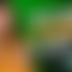 O MAIS NOVO APLICATIVO DE NOTÍCIAS DE MAIRIPORÃ ESTÁ DISPONÍVEL PARA DOWNLOAD