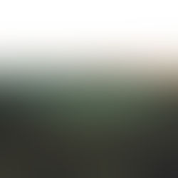 Hiking and Camping Tips - Whitaker Point, Ozark National Forest | Arkansas