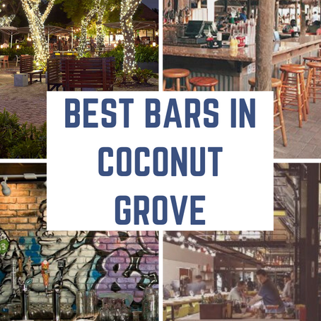 Best Bars in Coconut Grove