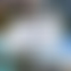 6 Best Weekend Getaways from Columbia, South Carolina (within a 4-hour flight)