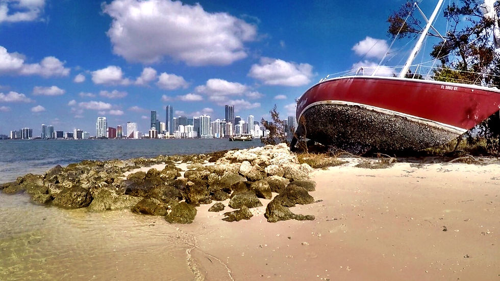 Andoni's Island