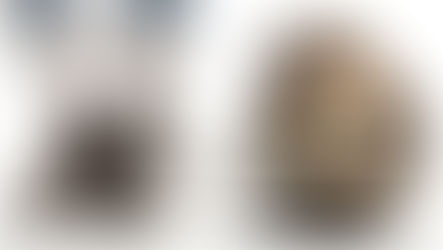 Anxiety (चिंता )