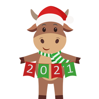 Bonne année 2021
