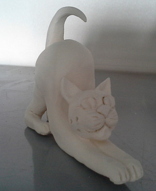 gato1biscoitado.jpg