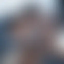 How stock markets work