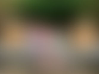 Spring Break Adventures! 🌸🦋🌷🌼🎢🎠