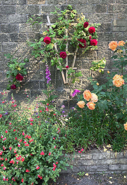 drip irrigation for pots