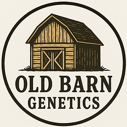 ChatGPT Image Dec 11, 2025, 04_32_09 PM.png