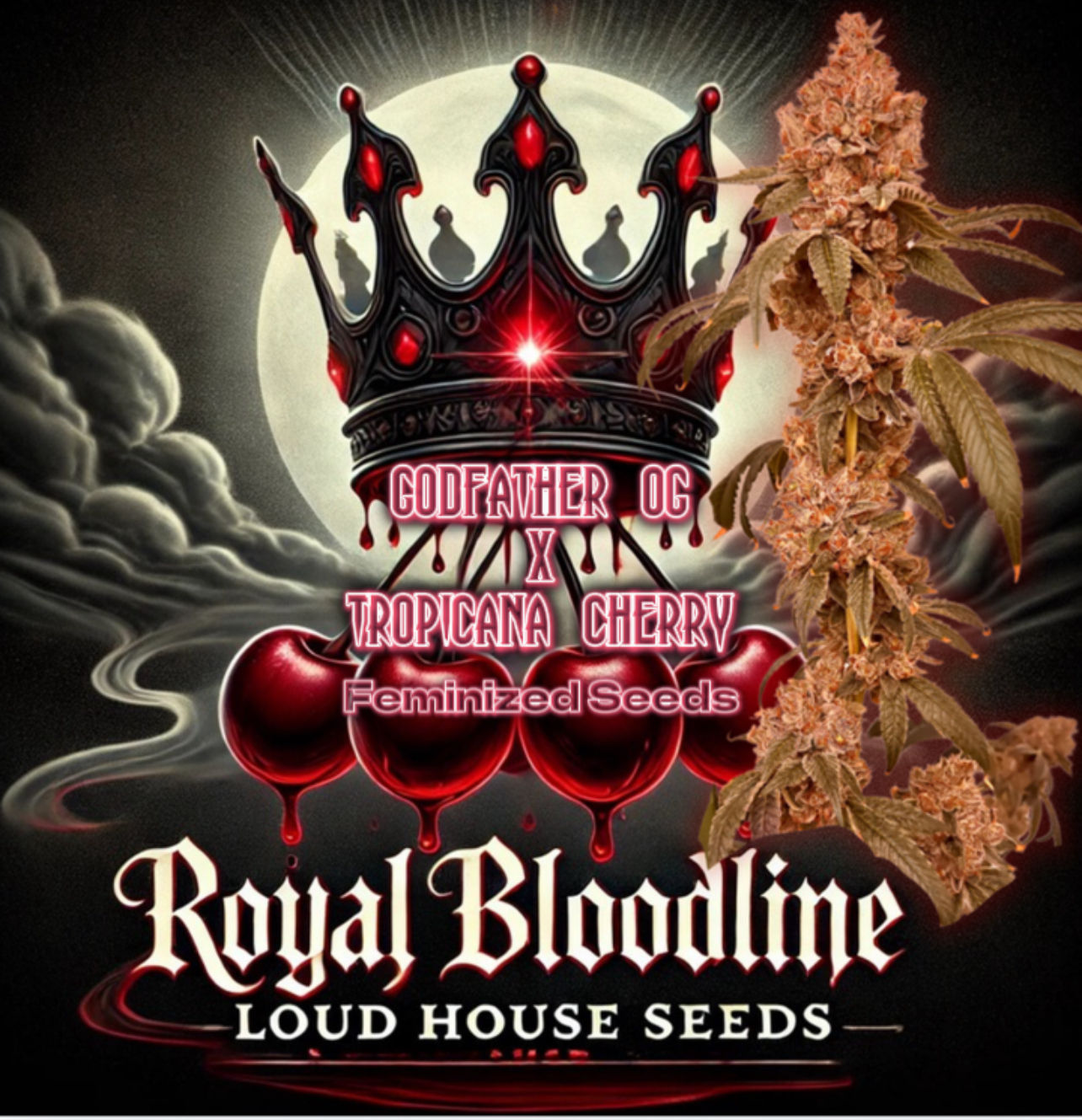 Royal Bloodline - Feminized Seed