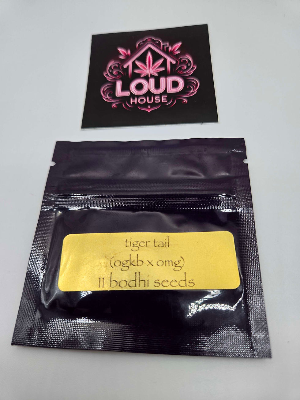 Thumbnail: Bodhi Seeds - Tiger Tail