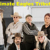 Take It Easy with NightFlyer: The Ultimate Eagles Tribute Comes to Mitchell