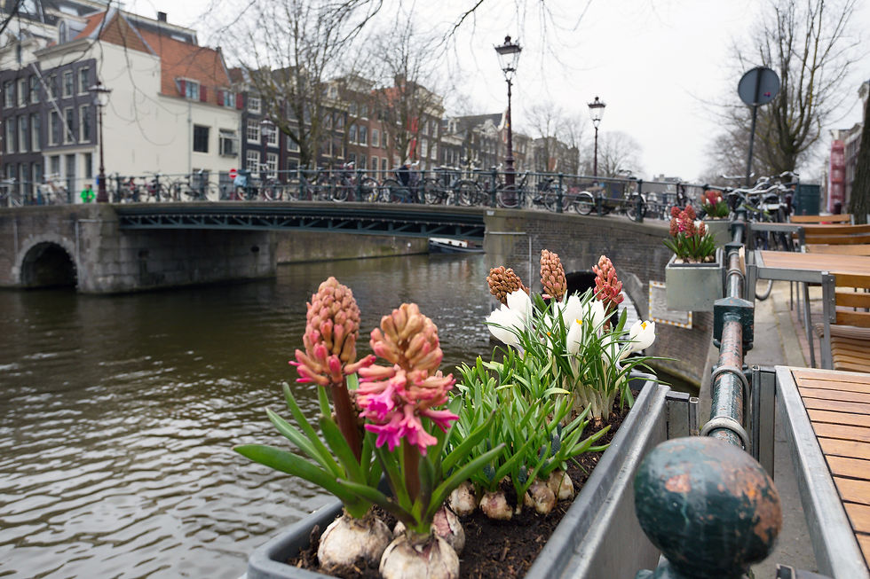 Amsterdam Netherlands 3.jpg