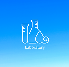 Laboratory Gloves