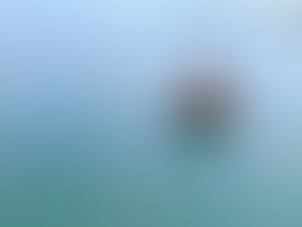 Keppel Offshore & Marine inova com um projeto de embarcação autônoma