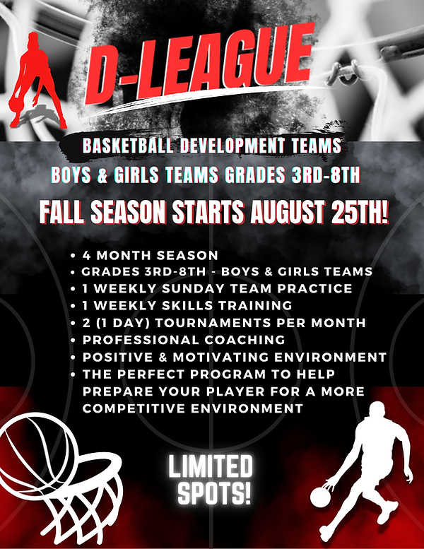 DLEAGUE FLYER.png