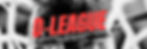 D LEAGUE BANNER 3-8 FINAL.jpg