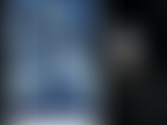 NOW YOU SEE ME, NOW YOU DON’T