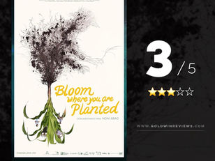 BLOOM WHERE YOU ARE PLANTED