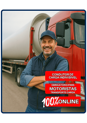 CARGA INDIVISÍVEL1.1 BRANCO (1).png