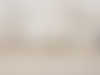 Holistic Health Coaching 