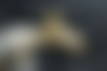 DE MANERA ESTRATÉGICA, EL PLAN MAESTRO DEL AGUA AUMENTARÁ LA EFICIENCIA Y GENERARÁ AHORROS FUTUROS