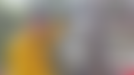 ALERTA PROTECCIÓN CIVIL MUNICIPAL ANTE LA PRESENCIA DE ANIMALES SILVESTRES EN LA MANCHA URBANA