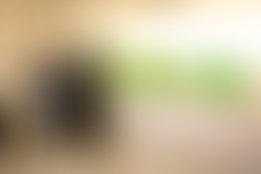 INVITA IMJUVA A PARTICIPAR EN EL TALLER DE PLOMERÍA «MUJER INDEPENDIENTE»