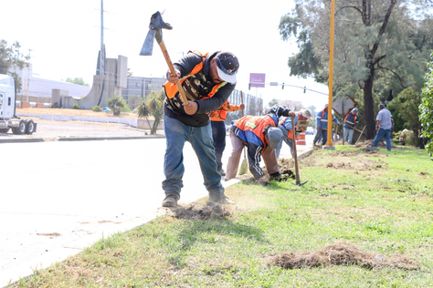 REALIZA MUNICIPIO TRABAJOS DE MANTENIMIENTO EN CAMELLONES PARA MEJOR APROVECHAMIENTO DEL AGUA.