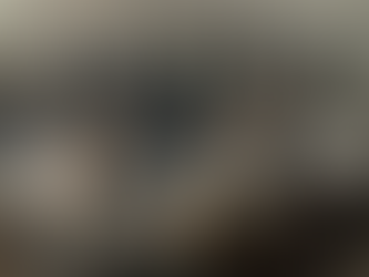 Writing weekend in Branäs – snow, forest, pain, and magic! ✨