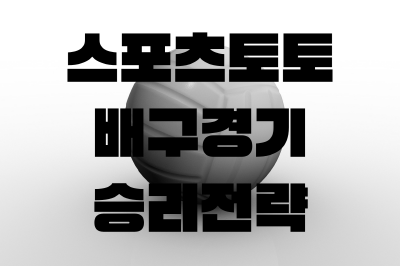 스포츠토토 배구 경기 배팅 승리 전략