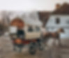 Izbraucieni ar Zirgu