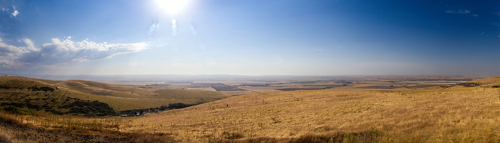 Viewpoint Panorama
