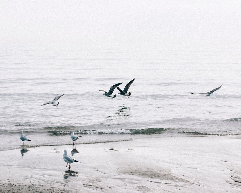 Not every Palm Beach home is public_edited.jpg