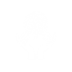 Untitled design (12).png