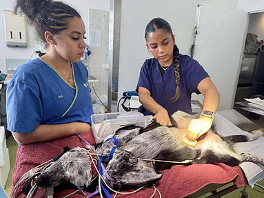 Image-empty-state_edited_edited_edited.p