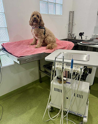 Image-empty-state_edited_edited_edited.p