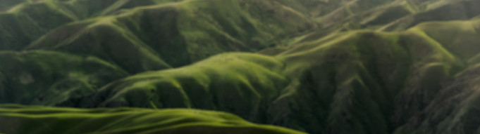 Body Grassland in Yili，Xinjiang，China_edited.jpg
