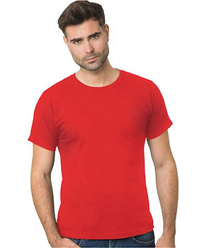 Unisex Fine Jersey Crew Tee