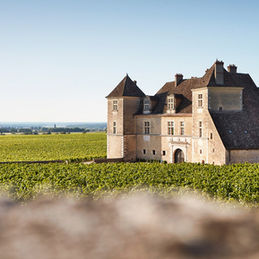 Clos de Vougeot: The Legacy of the Cistercian Monks