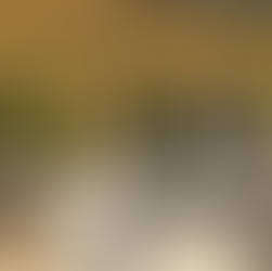 La Romanée-Conti: The Revolution and the Specter of Disappearance (Part 2)