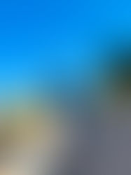 Discovering the Juicy Charm of Jungle Jive in Causeway Bay